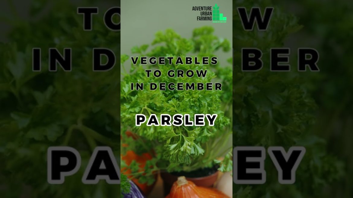 What I'm Growing In December | Vegetables To Plant In December