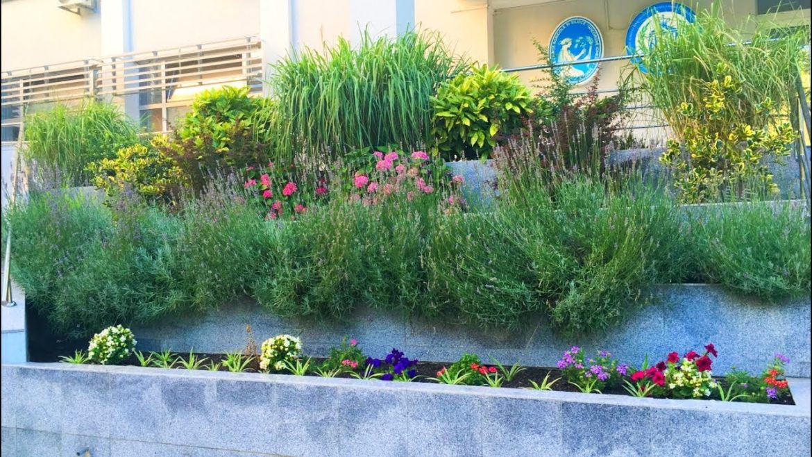Garden Design with 4 levels Creative Ideas 2019 | Flower Decoration #2 Garden Design with 4 levels Creative Ideas 2019 | Flower Decoration #2