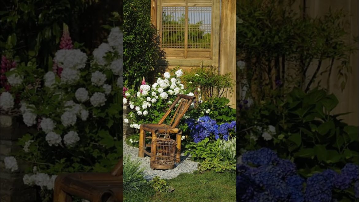 Top 10 Backyard garden Design Ideas shorts Top 10 Backyard garden Design Ideas shorts