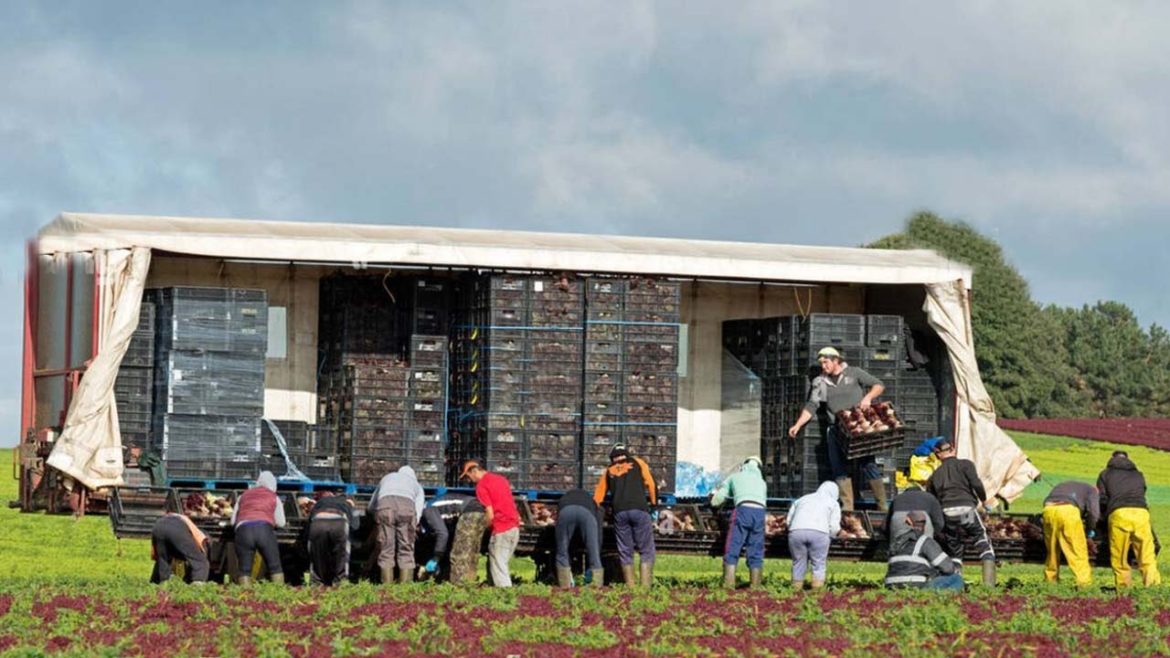 How American Farmers Harvest Thousands Of Tons Of Agricultural Products In 2022 - American Farming