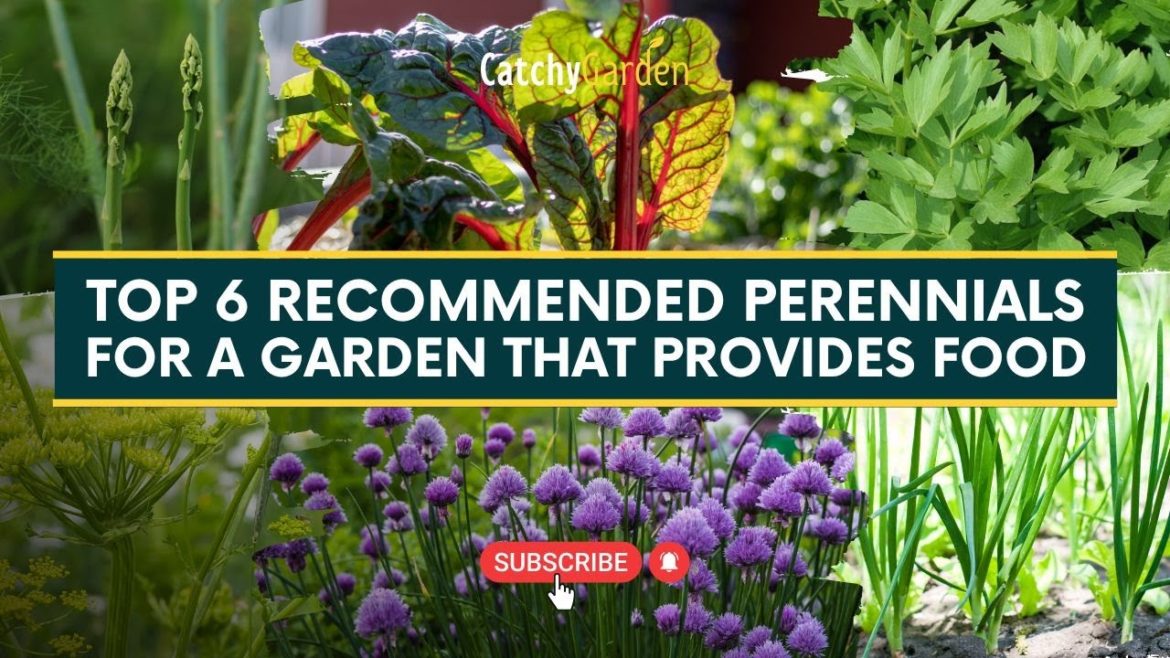 Top 6 Recommended Perennials for a Garden that Provides Food 🥬️🥦 // Gardening Ideas