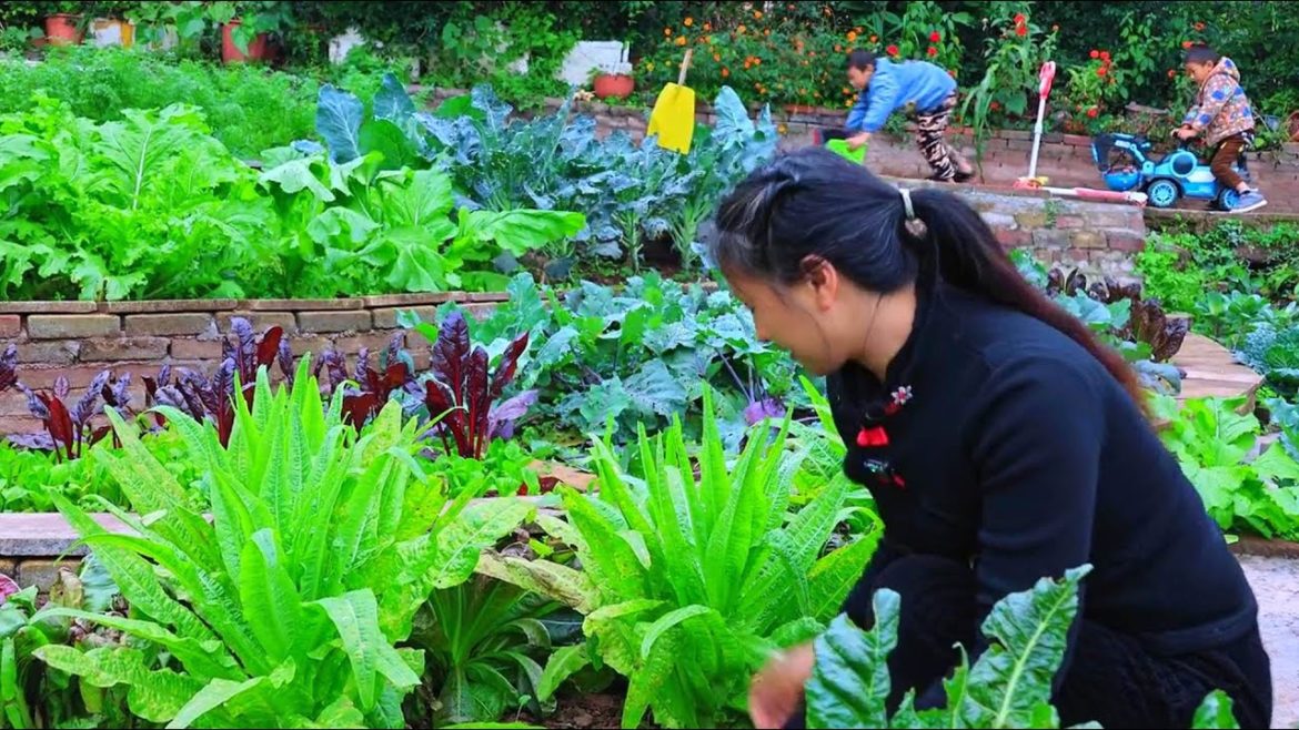Beautiful Nature with Rural Life | Amazing Vegetable Gardens