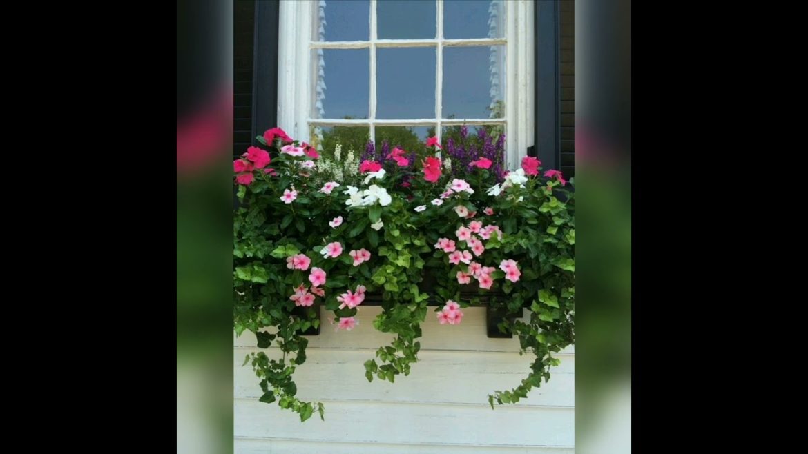 Top small garden design ideas 2022-2023 | beautiful gardening ideas