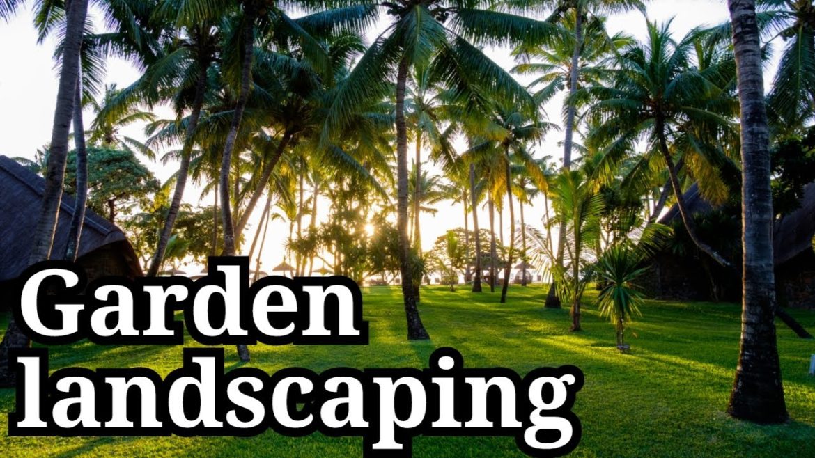garden landscaping idea|ලස්සන ගෙවත්තක් නිර්මාණය කරමු |garden maintain| bn tour sing vacation vlog 16 garden landscaping idea|ලස්සන ගෙවත්තක් නිර්මාණය කරමු |garden maintain| bn tour sing vacation vlog 16