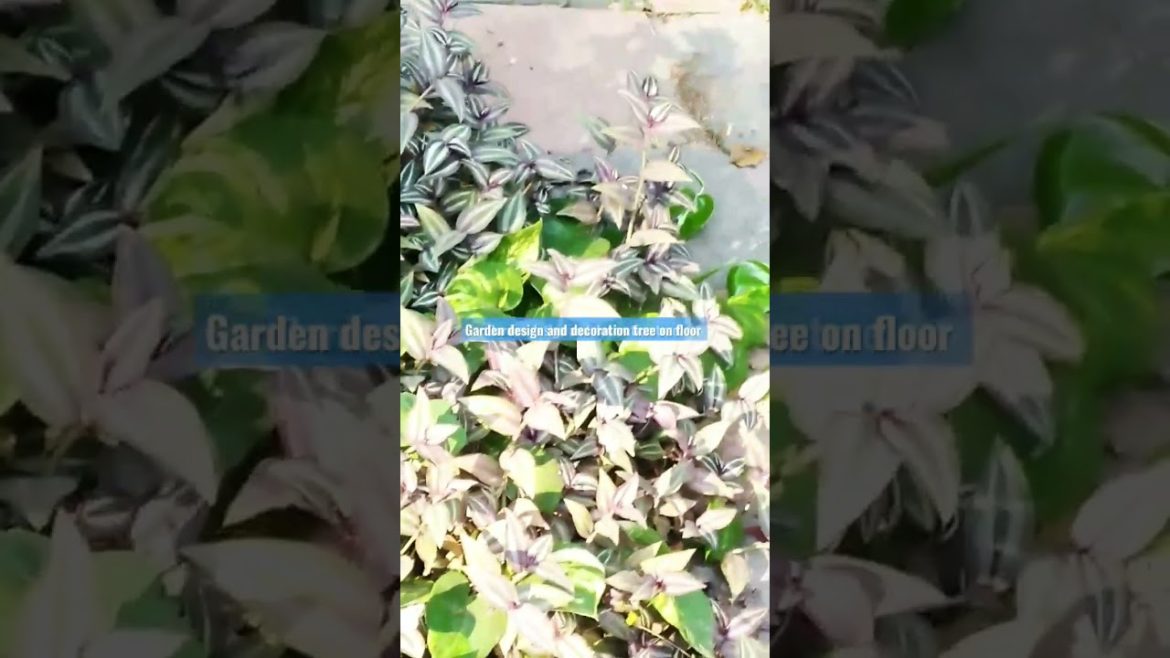 Garden design and decoration leaf tree on the floor. #shorts