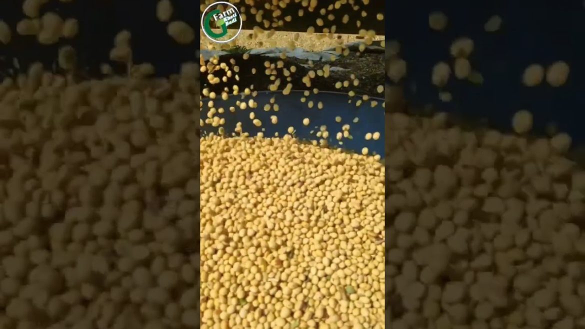 कंपनी 😇🙏!! #shorts #gfarm #indianfarmer #farmlife