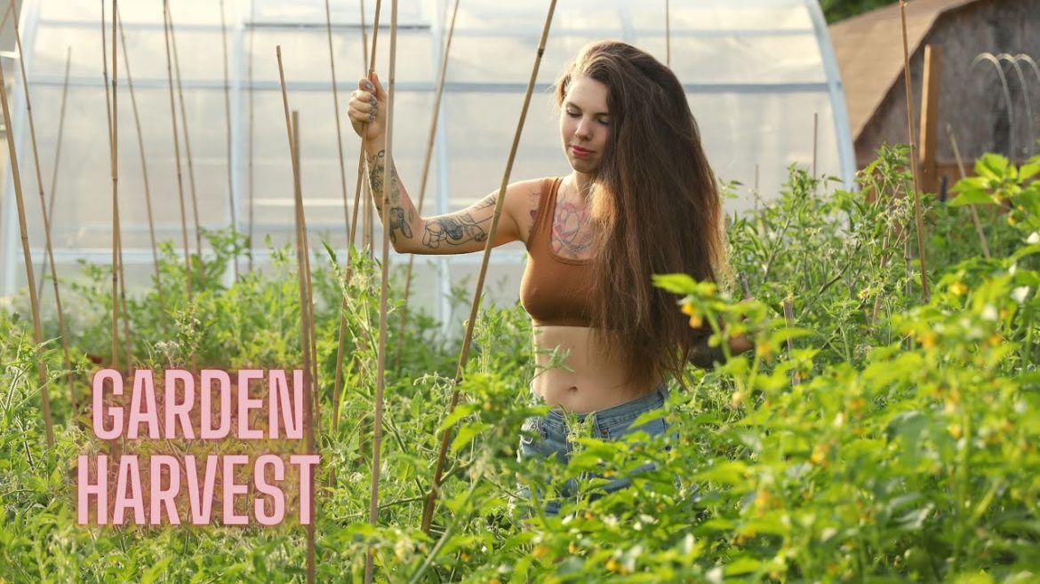 🌱 Family of 5 Eating from Backyard Urban Garden! 👩‍🌾