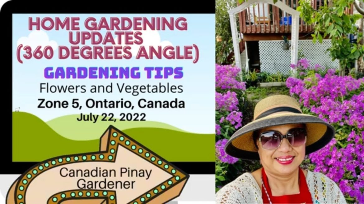 Home Gardening Updates (Part 1) – Arlene Vasquez Home Gardening Updates (Part 1) - Arlene Vasquez