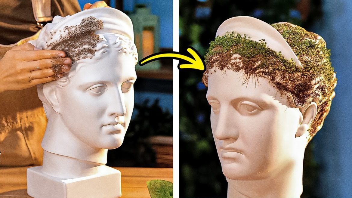 THE BEST TIPS AND HACKS TO GROW A BEAUTIFUL GARDEN THE BEST TIPS AND HACKS TO GROW A BEAUTIFUL GARDEN