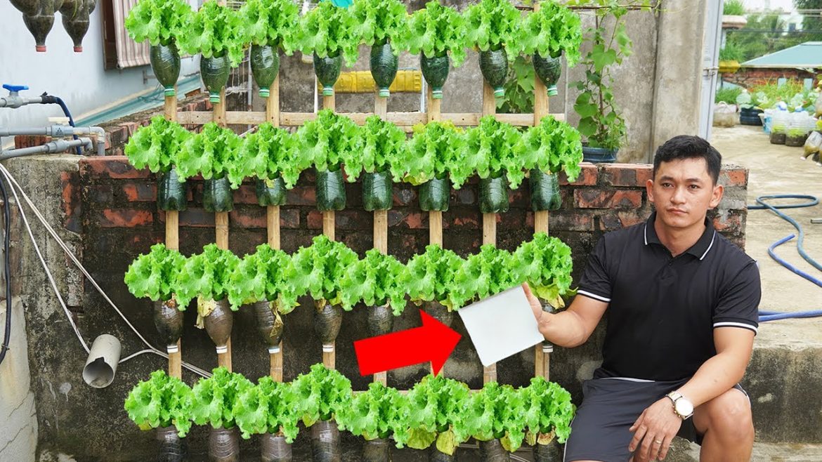 Turn The Old Wall Into A Fresh And Delicious Vegetable Garden For The Family