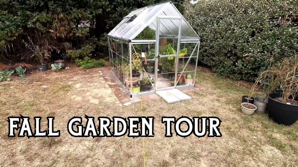 Fall Garden Tour 2022: Garden Update