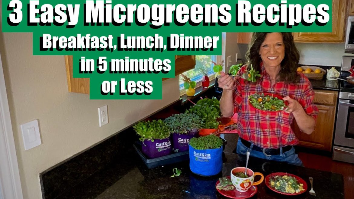 3 Easy Microgreens Recipes - Breakfast, Lunch & Dinner in 5 Minutes or Less / Indoor Gardening