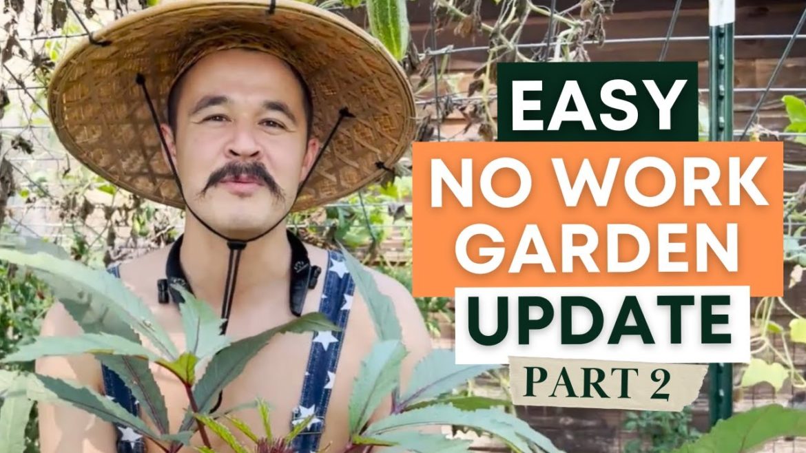 How To Build A Zero-Effort Garden | Gardening Hacks How To Build A Zero-Effort Garden | Gardening Hacks