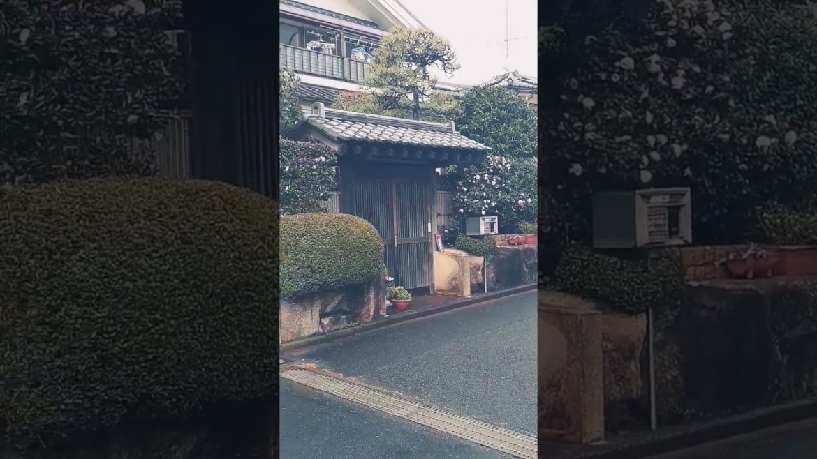 Japanese traditional house entrance gate