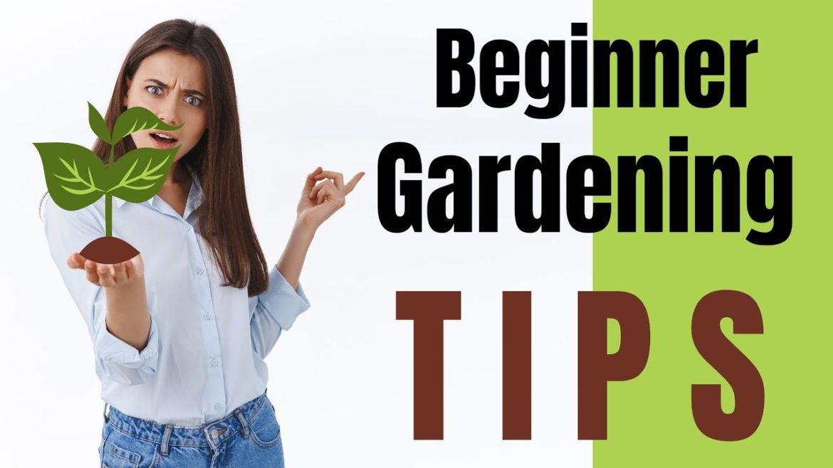 12 Best Gardening Tips for Beginners | Top Gardening Tips and Lessons
