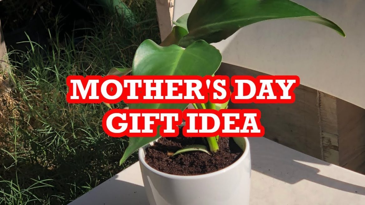 Mother's Day Gift Idea from the Backyard Garden