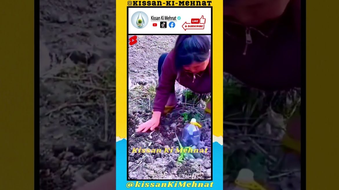 BEST IDEAS FOR YOUR GARDEN // Gardening Tool & Gadgets  #Gardening  #tools #agriculture