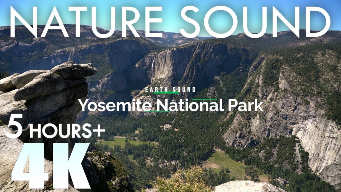 EARTH SOUND Yosemite Nature Sounds Glacier Point 1 Birds Singing 5 Hours Relaxation