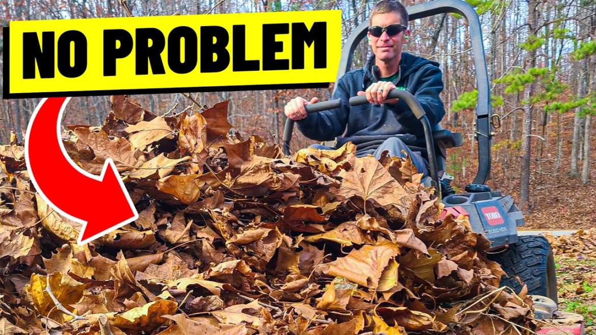 Fall Leaf Clean Up Tips – How to, Pricing, and Demonstration Fall Leaf Clean Up Tips - How to, Pricing, and Demonstration