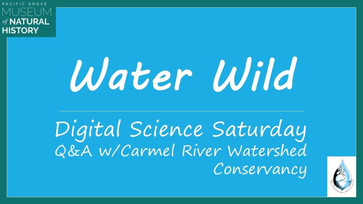 Water Wild Tree Stories May 2020 DSS