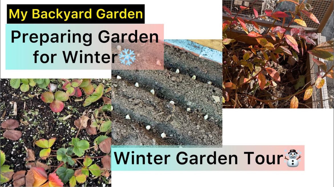 Winter Garden Tour | Preparing My Backyard Garden for Winter Winter Garden Tour | Preparing My Backyard Garden for Winter