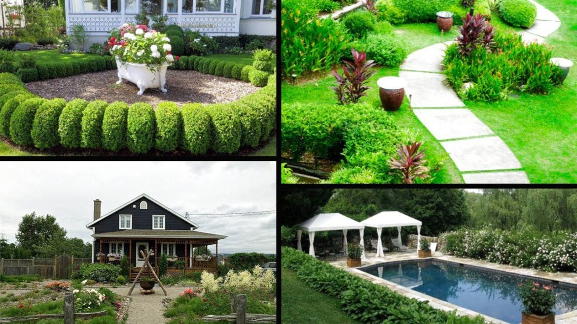 40 Creative House Landscaping Ideas |LANDSCAPING IDEAS | Garden Design For Small Gardens-Landscape