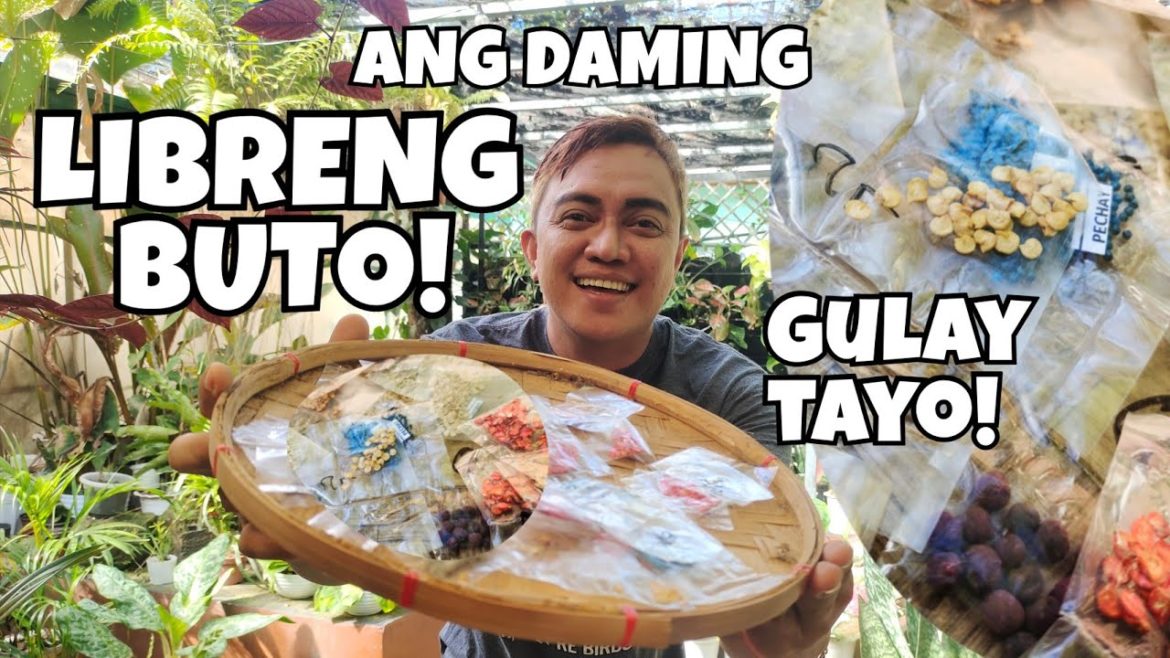 STARTING TO GROW EDIBLE PLANTS | LOTS OF FREE VEGETABLE SEEDS TO PLANT STARTING TO GROW EDIBLE PLANTS | LOTS OF FREE VEGETABLE SEEDS TO PLANT