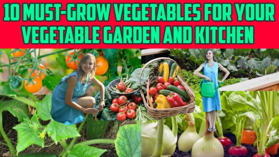 10 Must Grow Vegetables for Your Vegetable Garden and Kitchen | Mel's Beautiful Garden 10 Must Grow Vegetables for Your Vegetable Garden and Kitchen | Mel's Beautiful Garden
