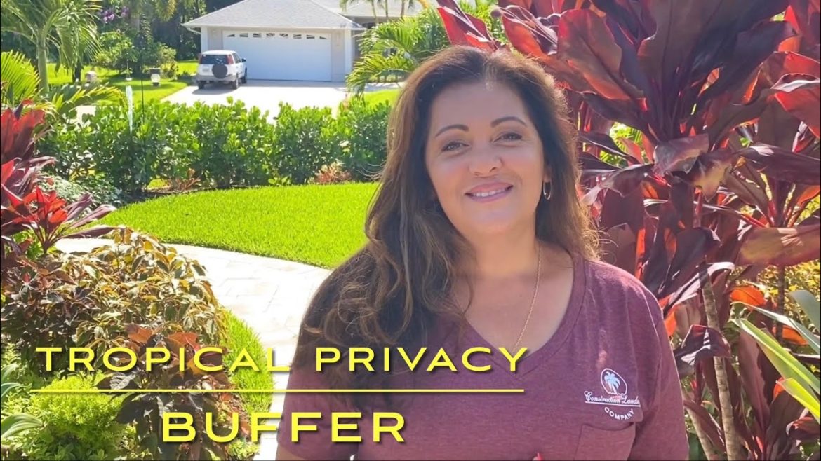 Walking tour of my narrow side yard Privacy buffer. Tropical Plant names and more.🌴#gardenideas Walking tour of my narrow side yard Privacy buffer. Tropical Plant names and more.🌴#gardenideas