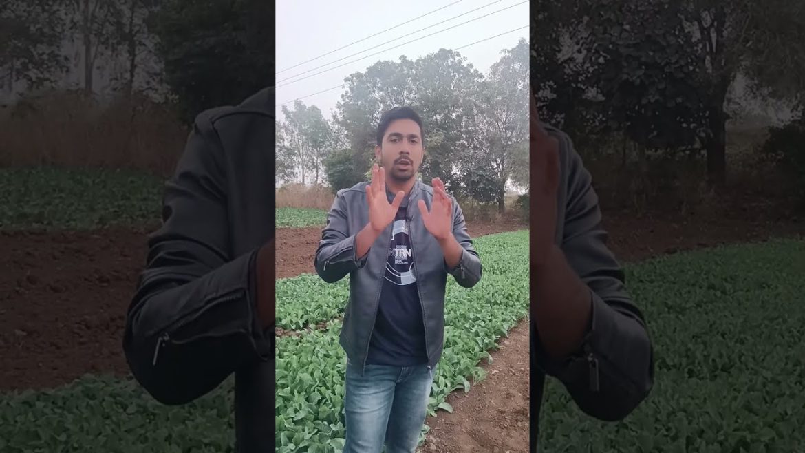 तारबंदी में आने वाले खर्च को कैसे निकाले #shorts तारबंदी में आने वाले खर्च को कैसे निकाले #shorts