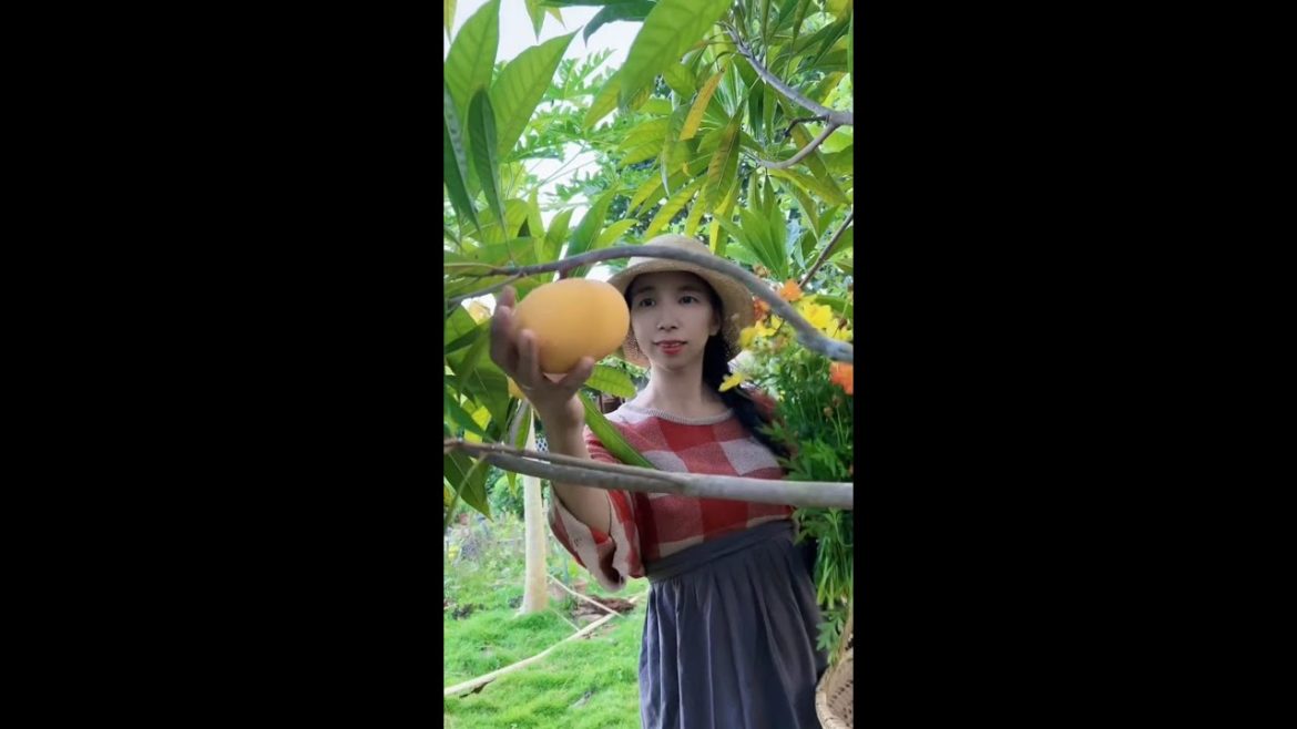 Beautiful Nature with Rural Life #shorts #naturalife #rurallife Beautiful Nature with Rural Life #shorts #naturalife #rurallife