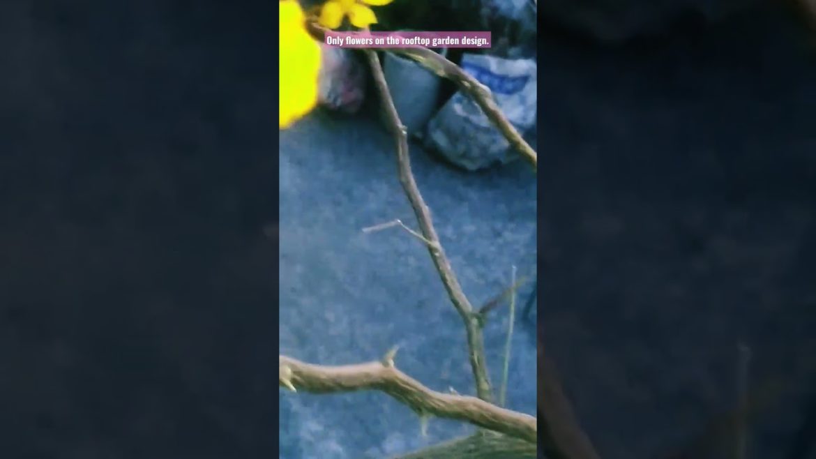 Only flowers on the rooftop garden design.