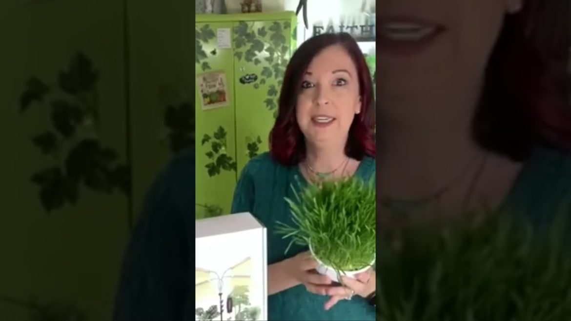 Indoor Gardening Tips 🌱 #shorts