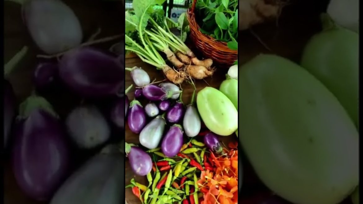 Organic Vegetables Harvest in Garden #Vegetabls #shorts #garden