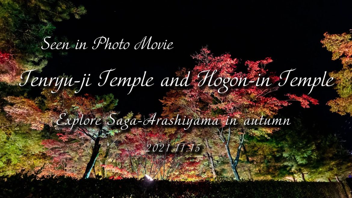 #11 フォトムービーで見る 嵐山 天龍寺とライトアップの宝厳院 #11 フォトムービーで見る 嵐山 天龍寺とライトアップの宝厳院