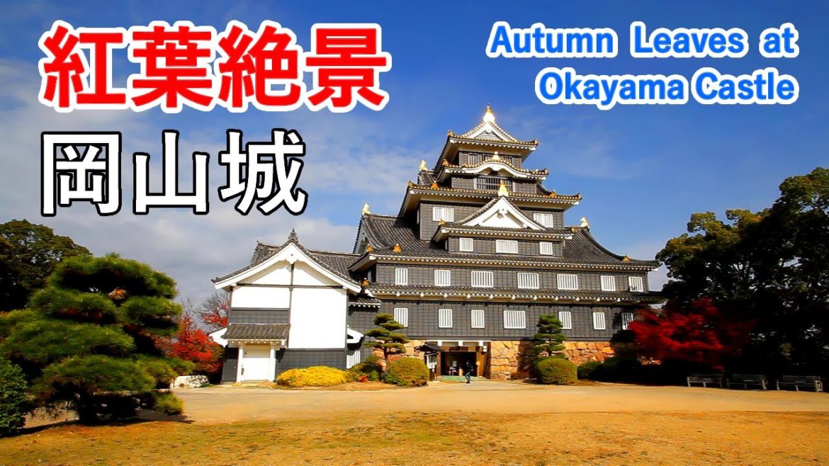 【2022年11月リニューアル】岡山城・岡山後楽園の紅葉絶景! / Autumn Leaves at Okayama Castle and Okayama Korakuen Garden! 【2022年11月リニューアル】岡山城・岡山後楽園の紅葉絶景! / Autumn Leaves at Okayama Castle and Okayama Korakuen Garden!
