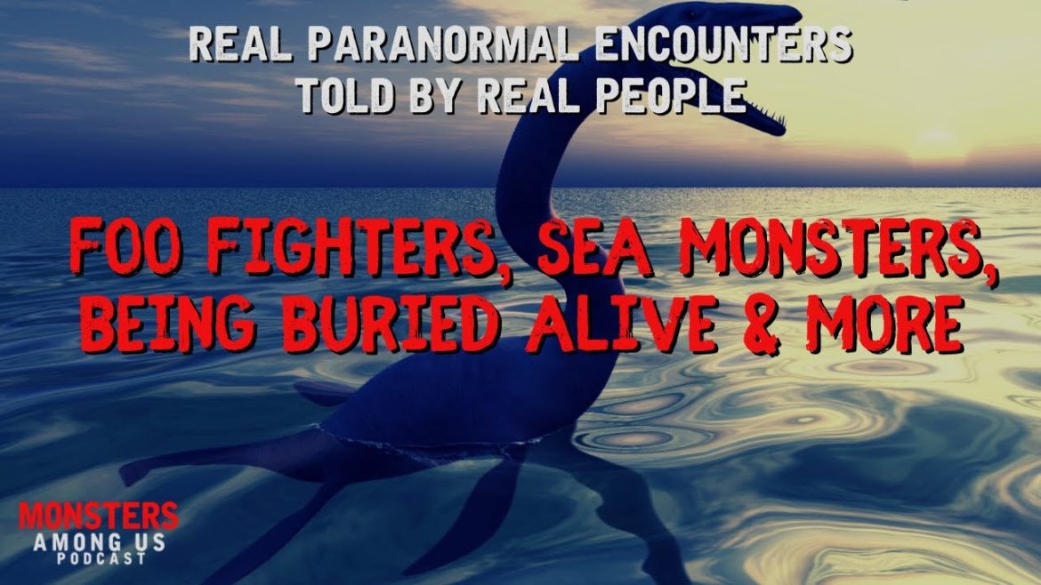TRUE PARANORMAL STORIES, FOO FIGHTERS, SEA MONSTERS, BEING BURIED ALIVE & MORE TRUE PARANORMAL STORIES, FOO FIGHTERS, SEA MONSTERS, BEING BURIED ALIVE & MORE