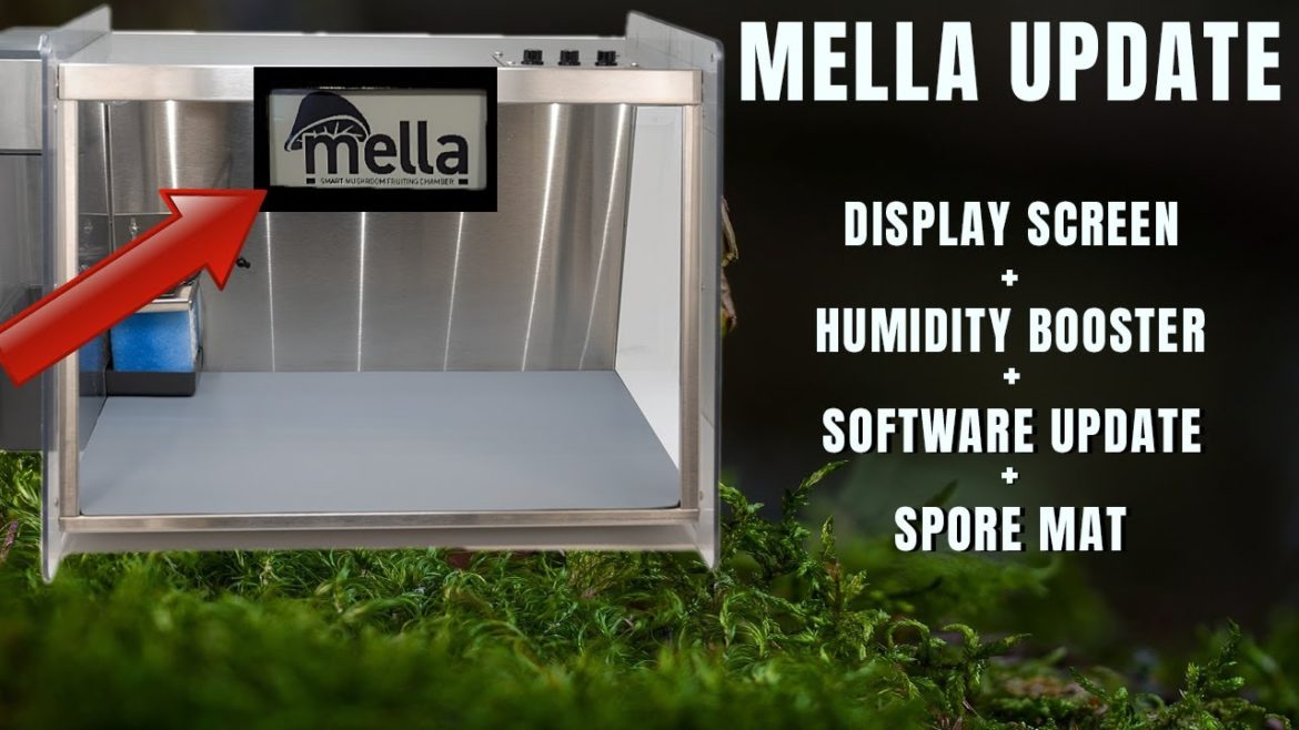 Mella Update - Display Screen + Future Accessories