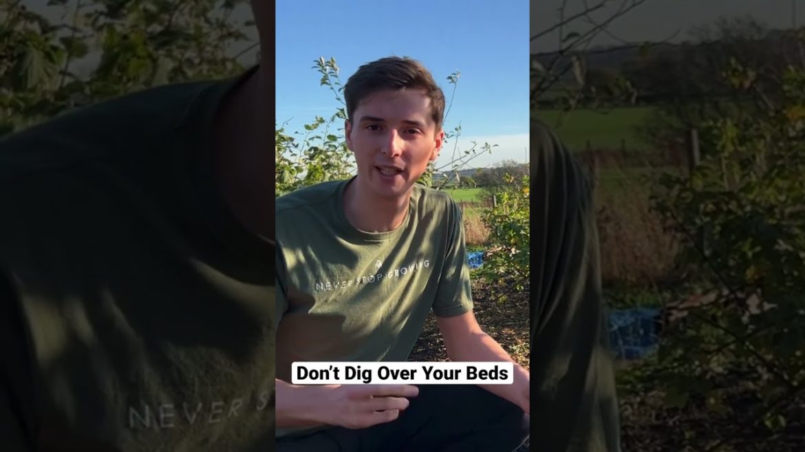 Don’t Dig Over Your Beds #nodig #nodiggardening #gardeningtips #foodforest