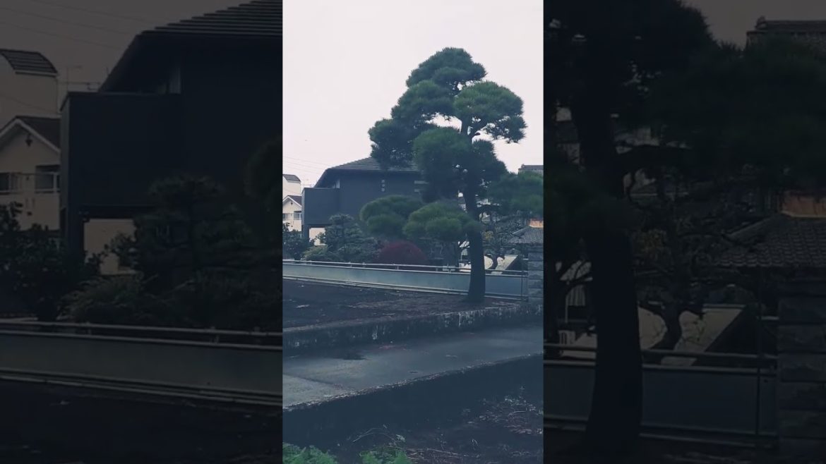 Japanese farmers yard