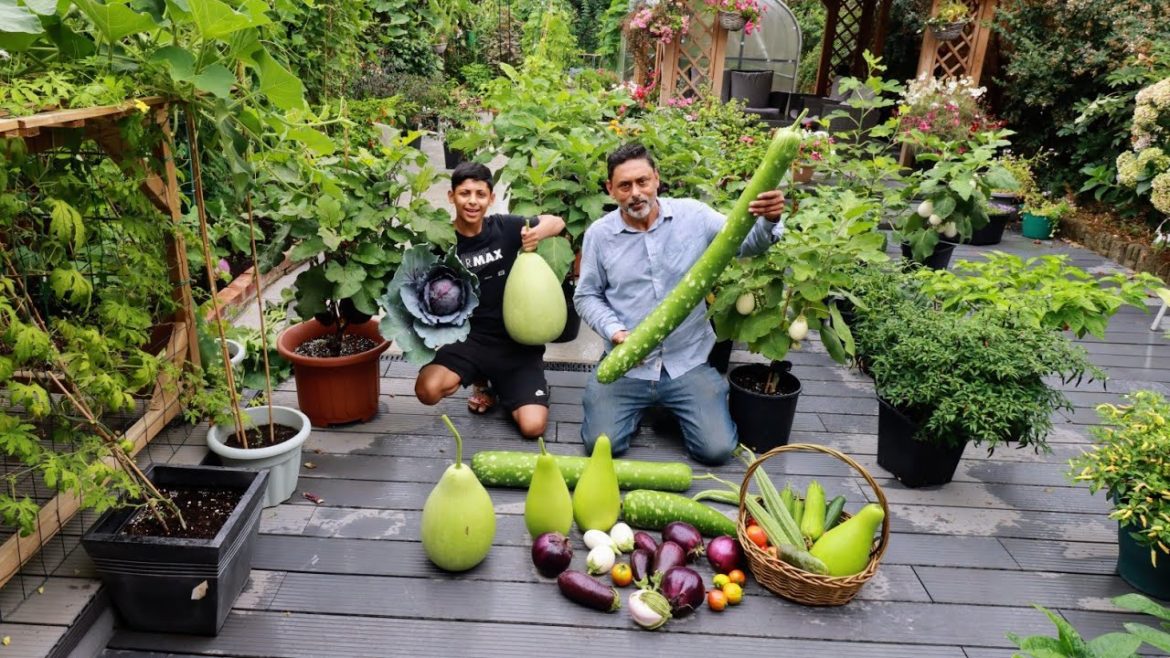 Harvesting Garden Vegetables to Celebrate 100k Subscribers | Kitchen Garden Tips & Tour