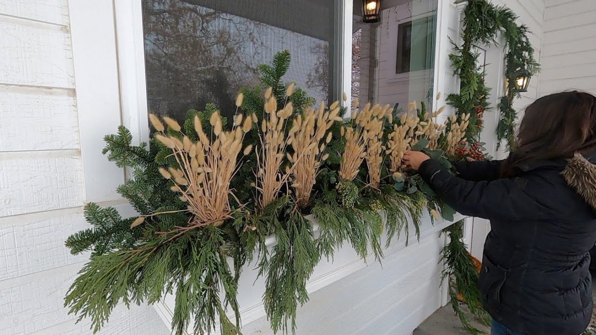 Garden Answer: Setting Up a Bird Bath & Decorating Our Kitchen Entrance! 🐦❄️🎄 // Garden Answer Setting Up a Bird Bath & Decorating Our Kitchen Entrance! 🐦❄️🎄 // Garden Answer