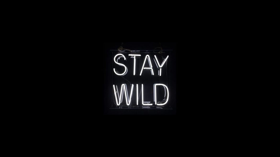 #Coffee #Music and #Cannabis go #HandNHand #LiveStream #Coffee #Music and #Cannabis go #HandNHand #LiveStream