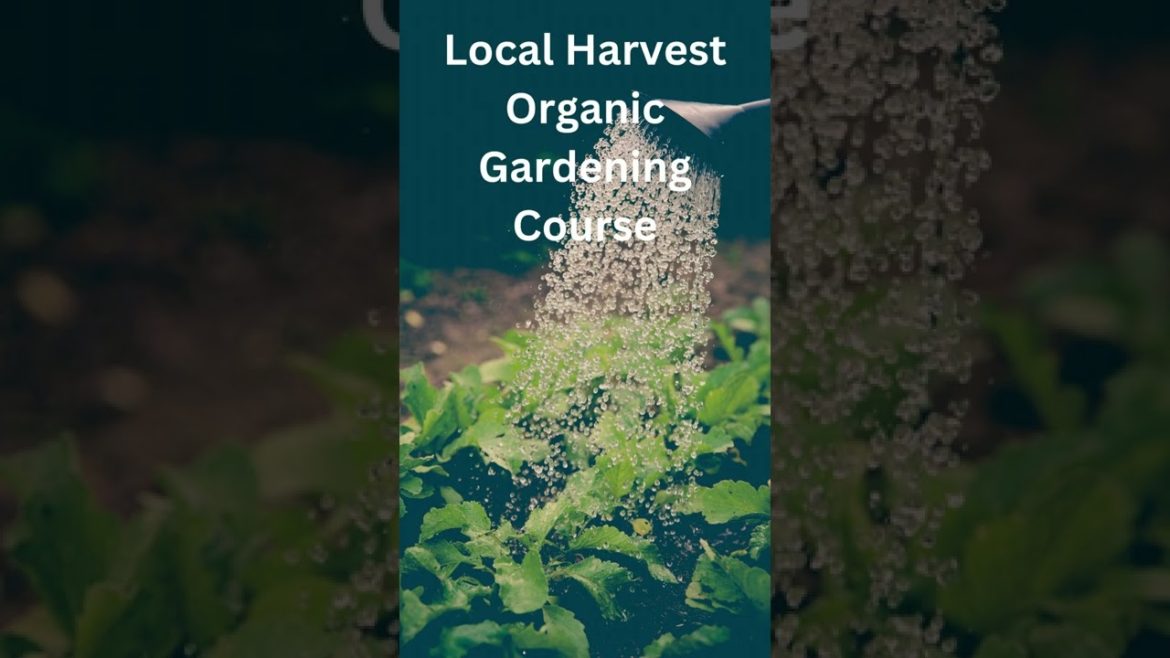 Local Harvest Organic Gardening Course | Gardening |Gardening Ideas For Home | shorts