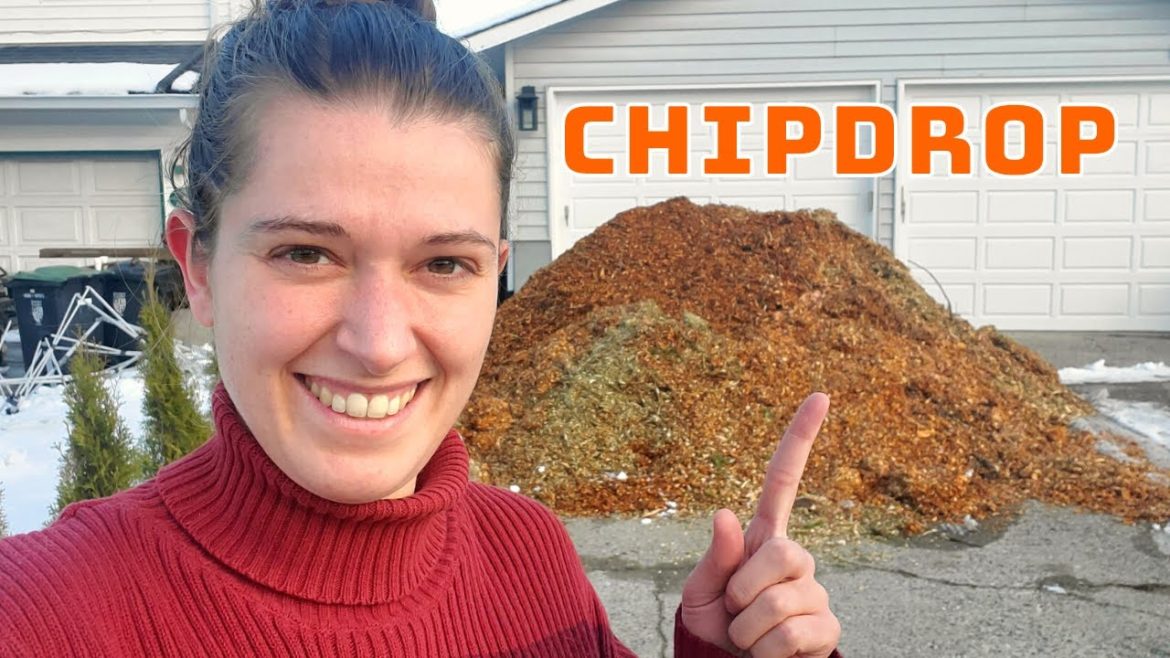 I got a MOUNTAIN of wood chips! (ChipDrop review)
