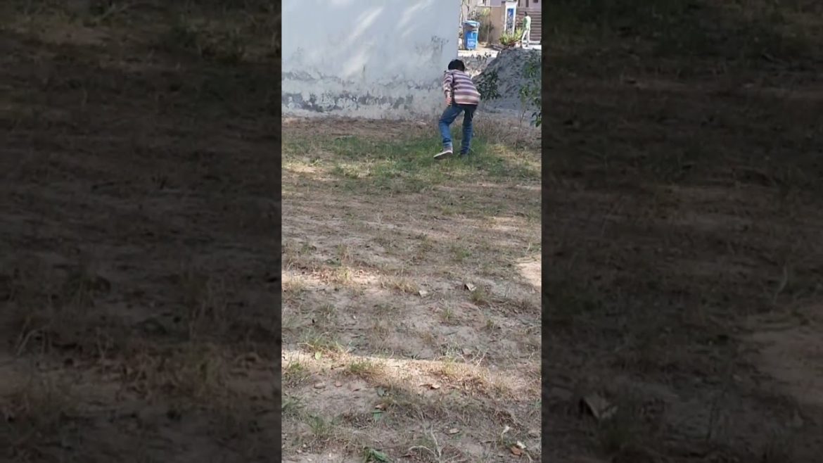 It's Backyard Cleaning Day | #shortvideo #shorts #viral #backyard #garden