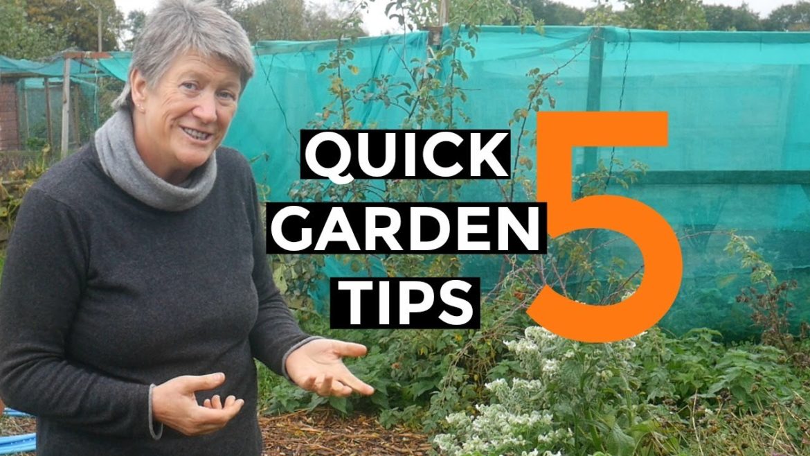 5 Gardening Tips in 5 Minutes | Collab with Jane Kelly 5 Gardening Tips in 5 Minutes | Collab with Jane Kelly