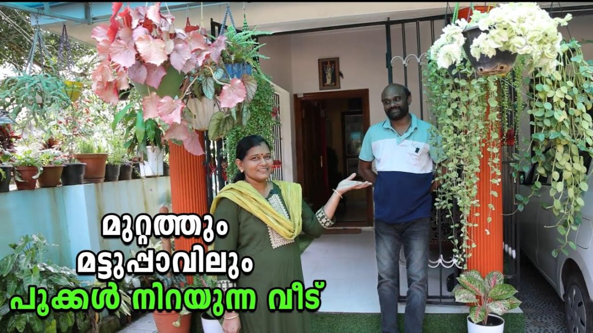 മുറ്റത്തും മട്ടുപ്പാവിലും , പൂക്കൾ നിറയുന്ന വീട് !! | Home Garden Thiruvalla ,Kerala