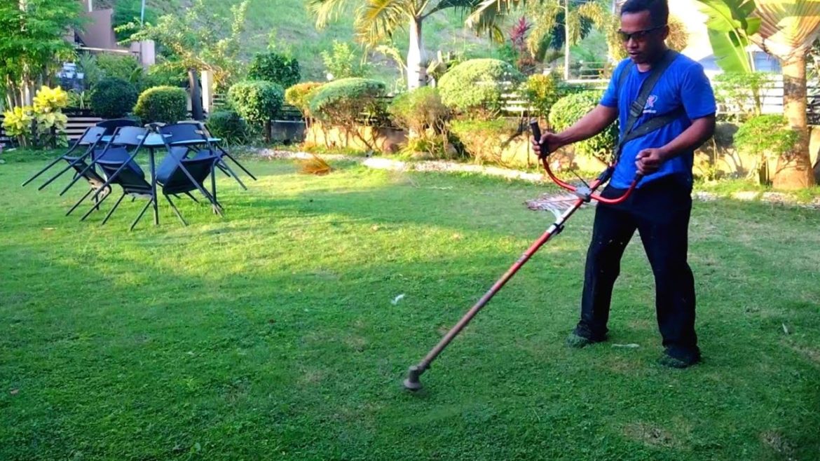 Trimming Yard in Real Time Trimming Yard in Real Time