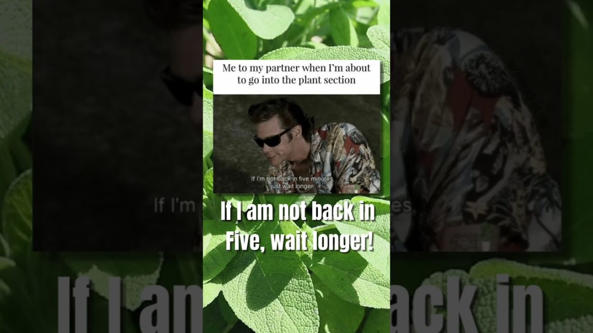 Wait Longer ‼️🤪 #shorts #trending #memes Wait Longer ‼️🤪 #shorts #trending #memes